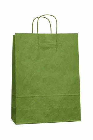 Bolsa de Papel Verde Grande 32x40x12 cm | Alta Resistencia